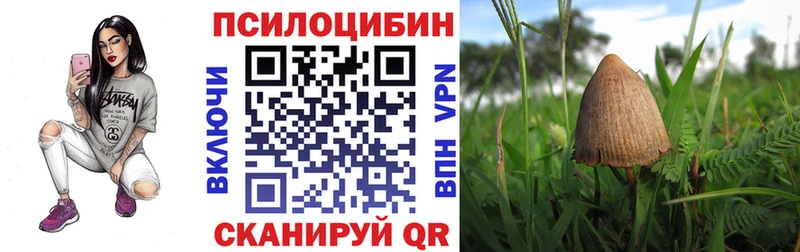 Купить закладки Джанкой Галлюциногенные грибы мицелий